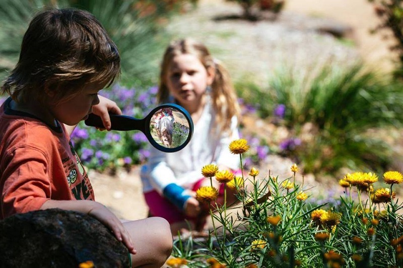 Connect with Nature Around Burleigh Heads with NaturallyGC Gold Coast