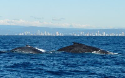 Burleigh in winter: the warm, quiet season at the north end